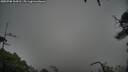 ./images/calvert/fitz-hugh-hecate/20250708/fitz-hugh-hecate20250708_104510M.jpg