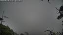 ./images/calvert/fitz-hugh-hecate/20250708/fitz-hugh-hecate20250708_105009M.jpg