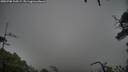./images/calvert/fitz-hugh-hecate/20250708/fitz-hugh-hecate20250708_105509M.jpg