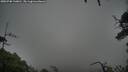 ./images/calvert/fitz-hugh-hecate/20250708/fitz-hugh-hecate20250708_110011M.jpg