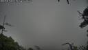 ./images/calvert/fitz-hugh-hecate/20250708/fitz-hugh-hecate20250708_110510M.jpg