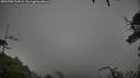 ./images/calvert/fitz-hugh-hecate/20250708/fitz-hugh-hecate20250708_111009M.jpg