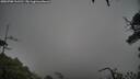 ./images/calvert/fitz-hugh-hecate/20250708/fitz-hugh-hecate20250708_111510M.jpg
