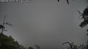./images/calvert/fitz-hugh-hecate/20250708/fitz-hugh-hecate20250708_112510M.jpg