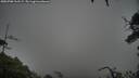 ./images/calvert/fitz-hugh-hecate/20250708/fitz-hugh-hecate20250708_113509M.jpg