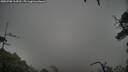 ./images/calvert/fitz-hugh-hecate/20250708/fitz-hugh-hecate20250708_114509M.jpg