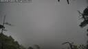 ./images/calvert/fitz-hugh-hecate/20250708/fitz-hugh-hecate20250708_115010M.jpg