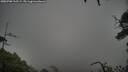./images/calvert/fitz-hugh-hecate/20250708/fitz-hugh-hecate20250708_115508M.jpg