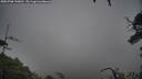 ./images/calvert/fitz-hugh-hecate/20250708/fitz-hugh-hecate20250708_120010M.jpg