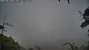 ./images/calvert/fitz-hugh-hecate/20250708/fitz-hugh-hecate20250708_121008M.jpg