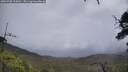 ./images/calvert/fitz-hugh-hecate/20250708/fitz-hugh-hecate20250708_125010M.jpg