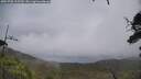 ./images/calvert/fitz-hugh-hecate/20250708/fitz-hugh-hecate20250708_125509M.jpg