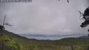 ./images/calvert/fitz-hugh-hecate/20250708/fitz-hugh-hecate20250708_131510M.jpg
