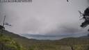 ./images/calvert/fitz-hugh-hecate/20250708/fitz-hugh-hecate20250708_140507M.jpg