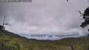 ./images/calvert/fitz-hugh-hecate/20250708/fitz-hugh-hecate20250708_142509M.jpg