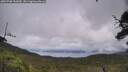 ./images/calvert/fitz-hugh-hecate/20250708/fitz-hugh-hecate20250708_143010M.jpg
