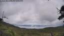 ./images/calvert/fitz-hugh-hecate/20250708/fitz-hugh-hecate20250708_144010M.jpg