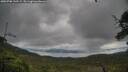 ./images/calvert/fitz-hugh-hecate/20250708/fitz-hugh-hecate20250708_145508M.jpg