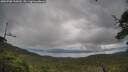 ./images/calvert/fitz-hugh-hecate/20250708/fitz-hugh-hecate20250708_150009M.jpg