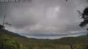 ./images/calvert/fitz-hugh-hecate/20250708/fitz-hugh-hecate20250708_151009M.jpg