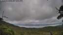 ./images/calvert/fitz-hugh-hecate/20250708/fitz-hugh-hecate20250708_151509M.jpg