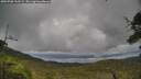 ./images/calvert/fitz-hugh-hecate/20250708/fitz-hugh-hecate20250708_152509M.jpg