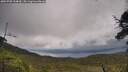 ./images/calvert/fitz-hugh-hecate/20250708/fitz-hugh-hecate20250708_154009M.jpg