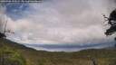 ./images/calvert/fitz-hugh-hecate/20250708/fitz-hugh-hecate20250708_155509M.jpg