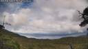 ./images/calvert/fitz-hugh-hecate/20250708/fitz-hugh-hecate20250708_160008M.jpg
