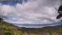 ./images/calvert/fitz-hugh-hecate/20250708/fitz-hugh-hecate20250708_161509M.jpg