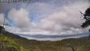 ./images/calvert/fitz-hugh-hecate/20250708/fitz-hugh-hecate20250708_162509M.jpg