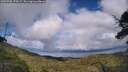 ./images/calvert/fitz-hugh-hecate/20250708/fitz-hugh-hecate20250708_170507M.jpg