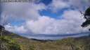 ./images/calvert/fitz-hugh-hecate/20250708/fitz-hugh-hecate20250708_171009M.jpg