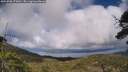 ./images/calvert/fitz-hugh-hecate/20250708/fitz-hugh-hecate20250708_173010M.jpg