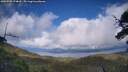 ./images/calvert/fitz-hugh-hecate/20250708/fitz-hugh-hecate20250708_174010M.jpg
