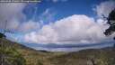 ./images/calvert/fitz-hugh-hecate/20250708/fitz-hugh-hecate20250708_175010M.jpg