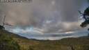 ./images/calvert/fitz-hugh-hecate/20250708/fitz-hugh-hecate20250708_190507M.jpg