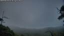 ./images/calvert/fitz-hugh-hecate/20250708/fitz-hugh-hecate20250708_221508M.jpg