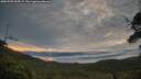 ./images/calvert/fitz-hugh-hecate/20250709/fitz-hugh-hecate20250709_055007M.jpg