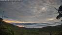 ./images/calvert/fitz-hugh-hecate/20250709/fitz-hugh-hecate20250709_055509M.jpg