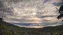 ./images/calvert/fitz-hugh-hecate/20250709/fitz-hugh-hecate20250709_073009M.jpg