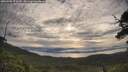 ./images/calvert/fitz-hugh-hecate/20250709/fitz-hugh-hecate20250709_073510M.jpg