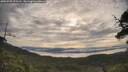 ./images/calvert/fitz-hugh-hecate/20250709/fitz-hugh-hecate20250709_075509M.jpg