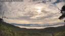 ./images/calvert/fitz-hugh-hecate/20250709/fitz-hugh-hecate20250709_081010M.jpg