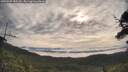 ./images/calvert/fitz-hugh-hecate/20250709/fitz-hugh-hecate20250709_082510M.jpg