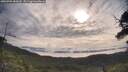 ./images/calvert/fitz-hugh-hecate/20250709/fitz-hugh-hecate20250709_083009M.jpg