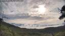 ./images/calvert/fitz-hugh-hecate/20250709/fitz-hugh-hecate20250709_083510M.jpg