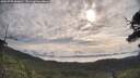 ./images/calvert/fitz-hugh-hecate/20250709/fitz-hugh-hecate20250709_084010M.jpg