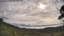 ./images/calvert/fitz-hugh-hecate/20250709/fitz-hugh-hecate20250709_085010M.jpg