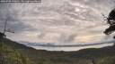 ./images/calvert/fitz-hugh-hecate/20250709/fitz-hugh-hecate20250709_090010M.jpg